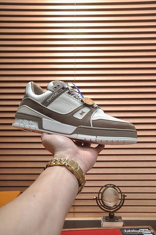Louis Vuitton Brown Gray Low-top Sneaker with Brown Gray Low-top in Hand for Daily Rotation