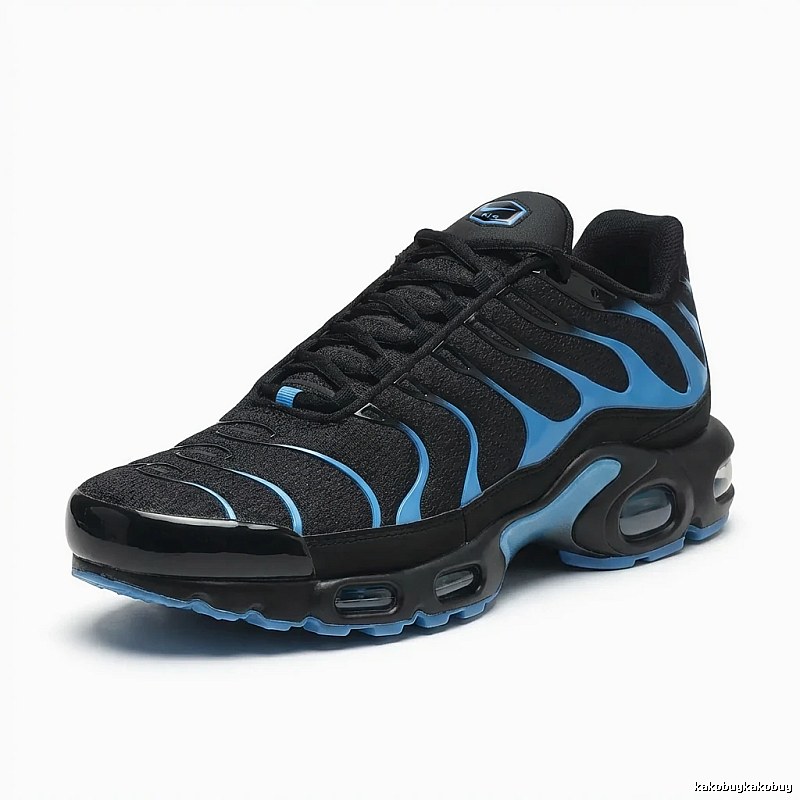 Nike Air Max Plus black and blue sports shoes