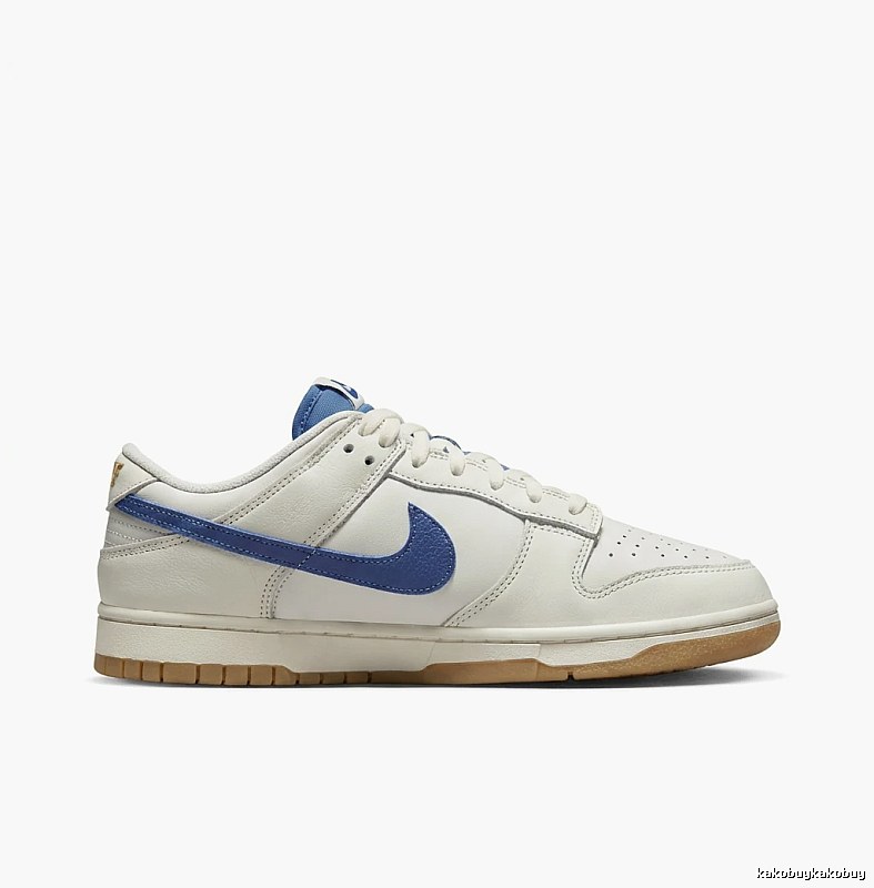 Nike Dunk Retro Style White and Blue Shoes
