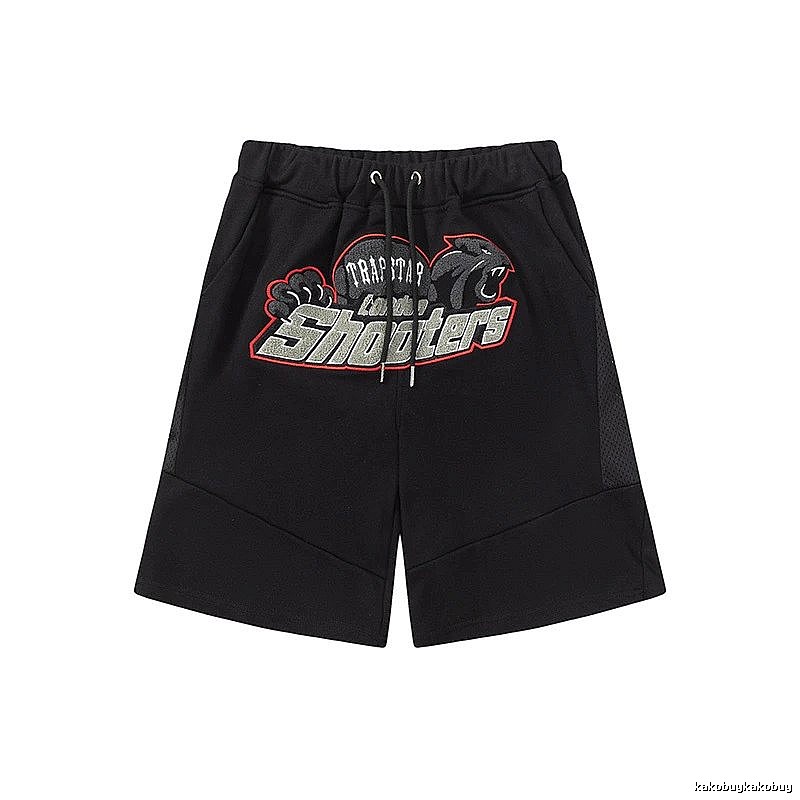 Toronto Raptors Casual Team graphic T-shirt Black Toronto Raptors for Streetwear Looks